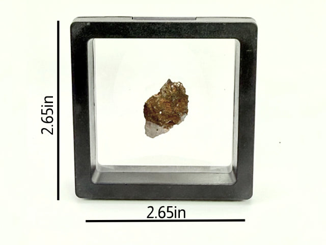 Rare Iron Meteorite Fragment From The Birth Of The Solar System (Genesis Collection)